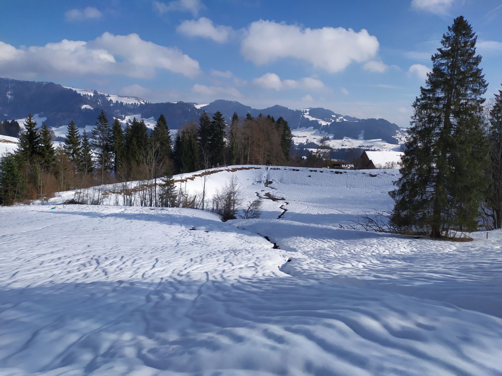 Bachtelweiher (ZH)
